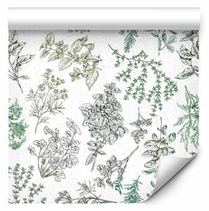 Tappezzerie Illustrazione di erbe - elegante motivo di erbe in stile disegnato a mano
