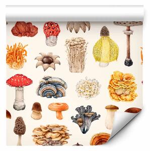 Tappezzerie Raccolta di funghi - motivo botanico su sfondo chiaro
