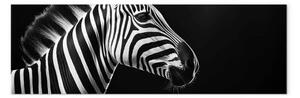 Quadro contemporaneo Testa di zebra - motivi in bianco e nero di un animale esotico