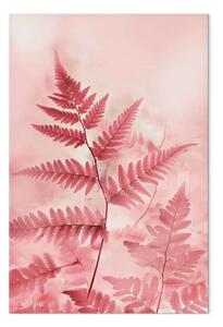 Quadro Felci in una palette pastello di rosa - composizione artistica della natura