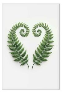 Quadro su tela Spirali simmetriche di felci - elegante composizione su sfondo bianco