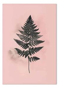 Quadro moderno Sottile gioco di contrasti - felce grigia in elegante incorniciatura di rosa