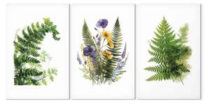Quadro Bellezza della natura - sfondo bianco e verde delle felci con delicati fiori