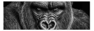 Quadro moderno Gorilla potente - grande animale con sguardo minaccioso in bianco e nero
