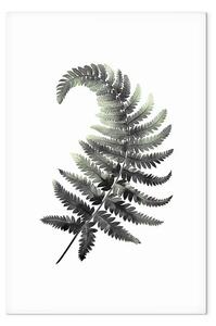 Quadro moderno Felce ricurva - la semplicità della natura in forma minimalista