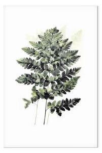 Quadro moderno Felce verde scuro - elegante forma naturale su sfondo minimalista