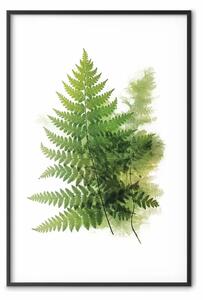 Poster: Delicata struttura della natura - equilibrio tra spazio e foglie di felce