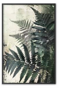 Poster: Felce - gioco di trame e ombre sotto forma di foglie naturali