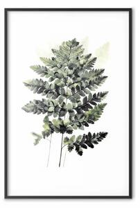 Poster: Felce in sfumature di verde scuro - elegante forma della natura su sfondo chiaro