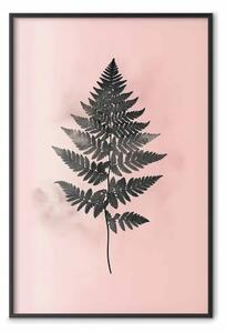 Poster: Rosa e grafite delle foglie - sottile gioco di colori naturali