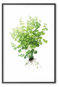 Poster: Delicata piantina verde - simbolo minimalista della natura