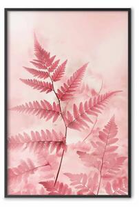 Poster: Felci in versione rosa - composizione artistica di foglie