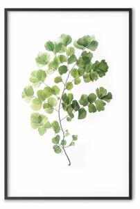 Poster: Verde della natura - sottili foglie di ginko in inquadratura minimalista
