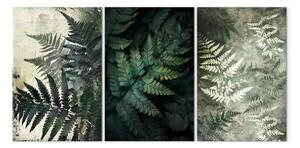 Quadro su tela Oasi verde di tranquillità - felci in eleganti sfumature