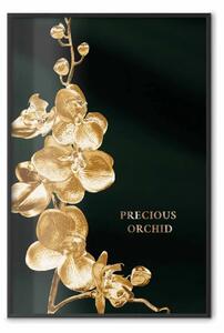 Poster: Fiore spettacolare - orchidea accarezzata dal sole su uno sfondo setoso