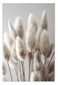 Quadro su tela Semplicità naturale - composizione di erbe beige su sfondo chiaro