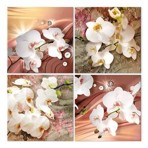 Quadro contemporaneo Set delicato Zen - orchidee in tonalità calde