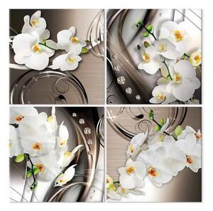 Quadro moderno Set orchidee - fiori in colori tenui Zen
