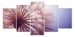 Quadro Incanto viola - primo piano di un fiore di dente di leone