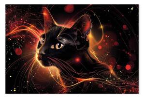 Quadro Creatura magica - gatto in composizione oscura con accenti rossi