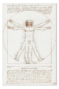 Quadro famoso Leonardo da Vinci - Uomo vitruviano