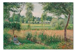 Quadro famoso Camille Pissarro - Morning Sunlight Effect, Eragny