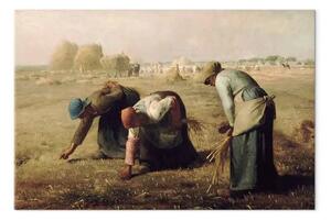 Quadro famoso Jean-François Millet - Donne che raccolgono spighe di grano