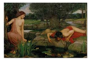 Riproduzione John William Waterhouse - Eco e Narciso