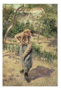 Riproduzione Camille Pissarro - Donna che scava in un frutteto