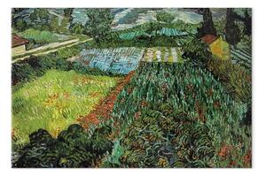 Riproduzione Vincent Van Gogh - Campo con papaveri