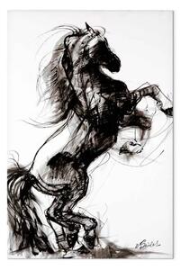 Quadro su tela Galoppo III - Schizzo nero di cavallo su sfondo bianco