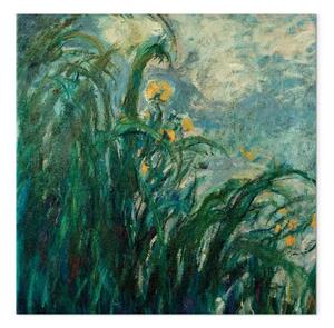 Riproduzione Claude Monet - Iris gialle