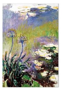 Riproduzione Claude Monet - Agapanthus