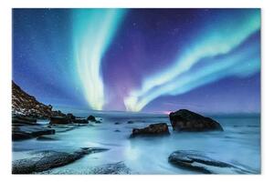 Quadro Cielo polare - aurora boreale sopra una costa artica