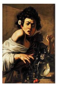 Riproduzione quadro Caravaggio - Ragazzo morso da un ramarro