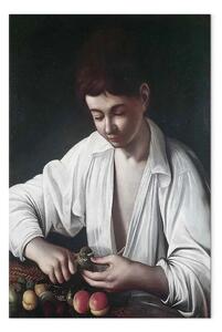 Riproduzione quadro Caravaggio - Fanciullo che monda un frutto