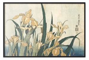 Poster: Hokusai Katsushika - cavalletta e iris