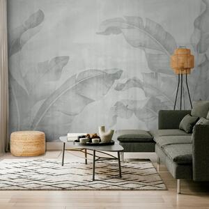 Carta da parati Minimalismo fogliare: forme esotiche delicate in grigio