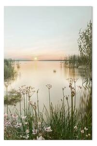 Quadro contemporaneo Alba - fiori selvatici sulla riva di un lago tranquillo