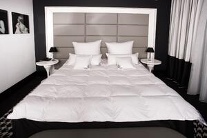 HS49 Piumino 200x220 cm 2500 grammi Piumino da letto 70% piumino 30% piume Mayaadi Home