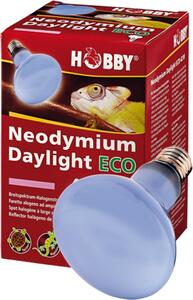 Hobby Neodymium Daylight Eco, faretto alogeno a luce diurna - 70W