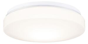 Plafoniera Paulmann, Axin, dimmerabile, Bianco, Bagno, Plastica