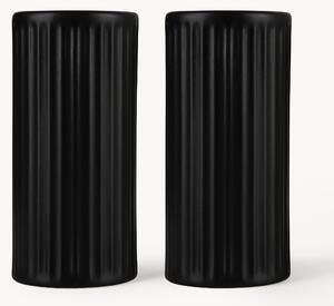 Set saliera e pepiera con struttura scanalata Goove 2 pz