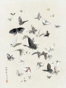 Stampa artistica Butterflies Moths 1 of 2 - Katsushika Hokusai, (30 x 40 cm)