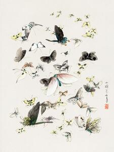 Stampa artistica Butterflies Moths 2 of 2 - Katsushika Hokusai, (30 x 40 cm)