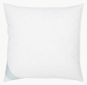 Cuscino in piuma Comfort, rigido
