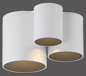 PAUL NEUHAUS Lampada da soffitto a LED PURE Point, bianca, per interni, dimmerabile 2700 K