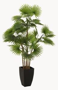 Pianta artificiale Fan con vaso