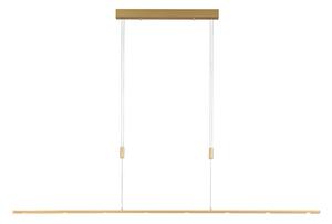 Quitani LED lampada a sospensione Tolu, lunghezza 179 cm, ottone