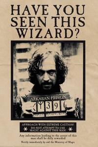 Posters, Stampe Harry Potter - Wanted Sirius Black, (80 x 120 cm)